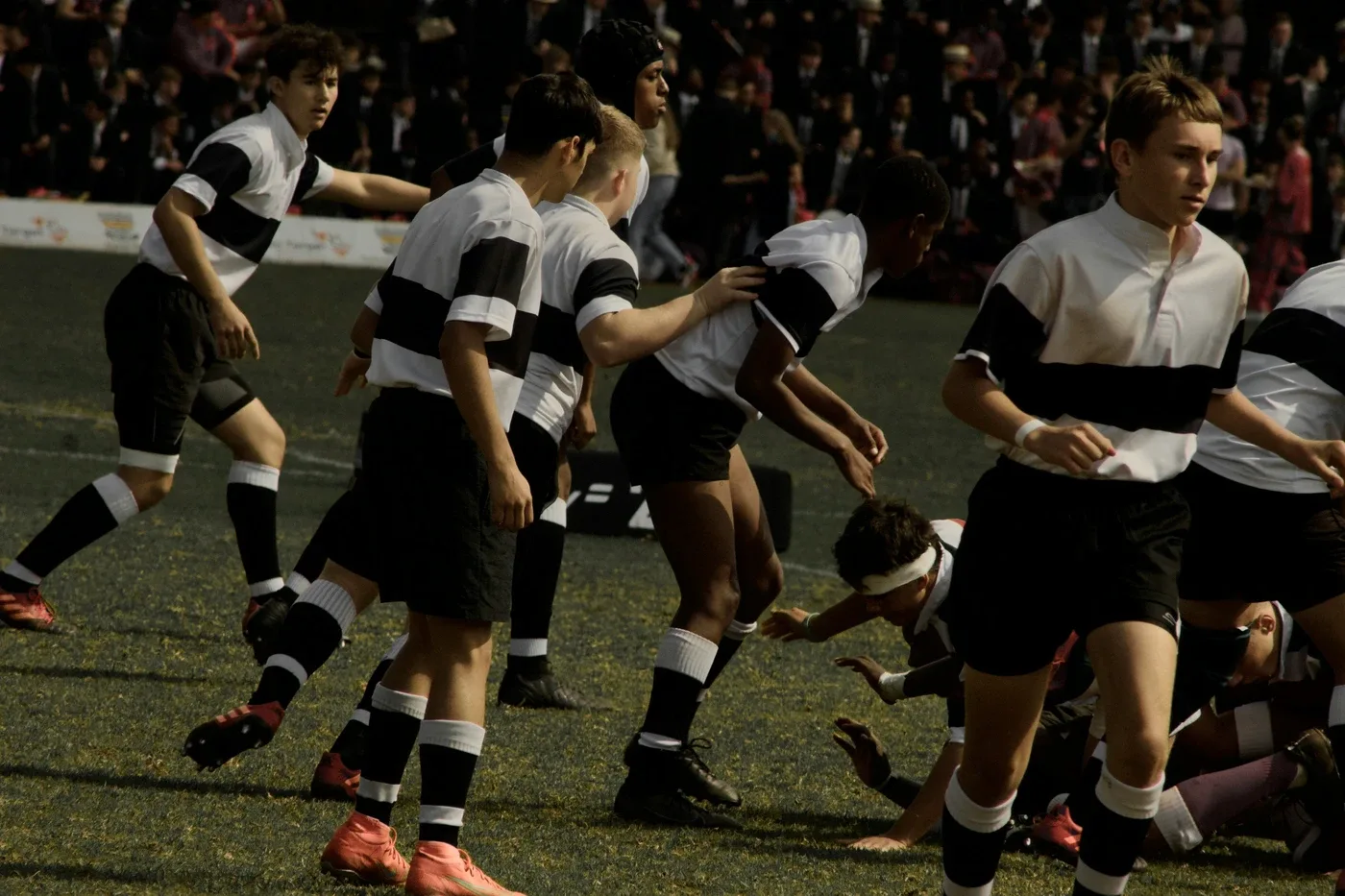 Jogadores de rugby em uma partida